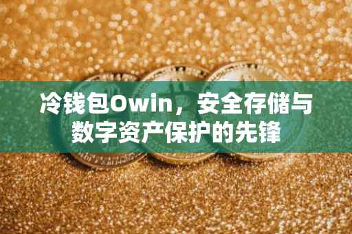 冷钱包Owin，安全存储与数字资产保护的先锋