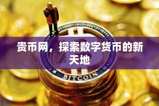 贵币网，探索数字货币的新天地