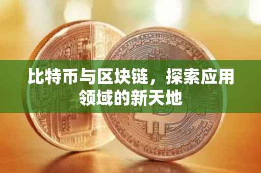 比特币与区块链，探索应用领域的新天地