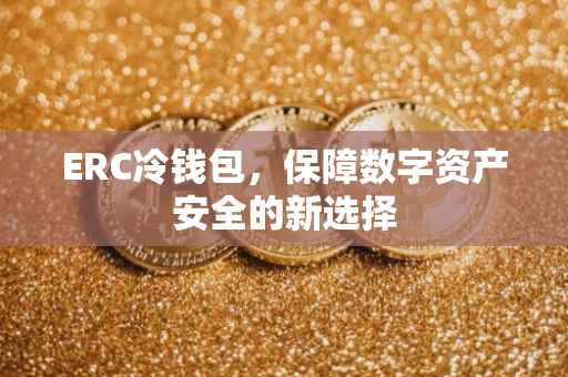 ERC冷钱包，保障数字资产安全的新选择