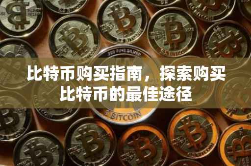 比特币购买指南，探索购买比特币的最佳途径