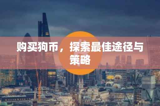 购买狗币，探索最佳途径与策略