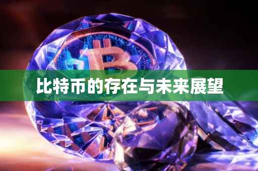 比特币的存在与未来展望