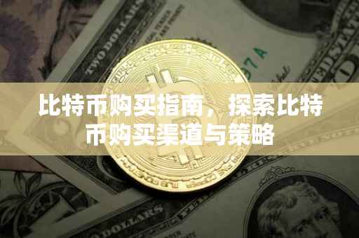 比特币购买指南，探索比特币购买渠道与策略