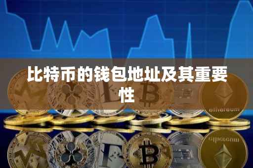 比特币的钱包地址及其重要性