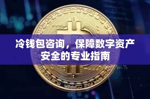 冷钱包咨询，保障数字资产安全的专业指南