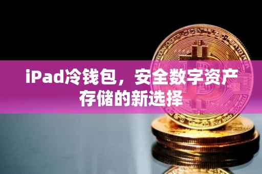 iPad冷钱包，安全数字资产存储的新选择