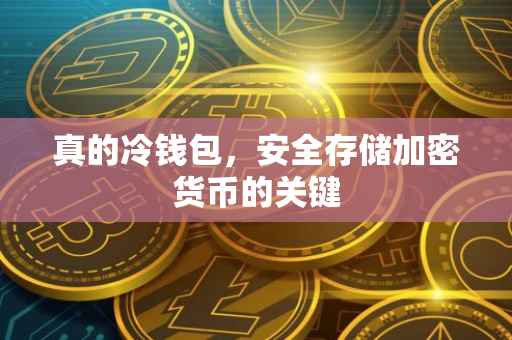 真的冷钱包，安全存储加密货币的关键