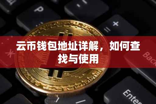 云币钱包地址详解，如何查找与使用