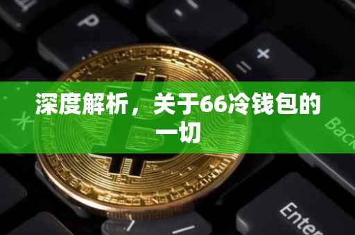 深度解析，关于66冷钱包的一切