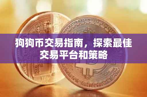狗狗币交易指南，探索最佳交易平台和策略