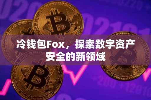 冷钱包Fox，探索数字资产安全的新领域