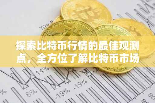 探索比特币行情的最佳观测点，全方位了解比特币市场动态