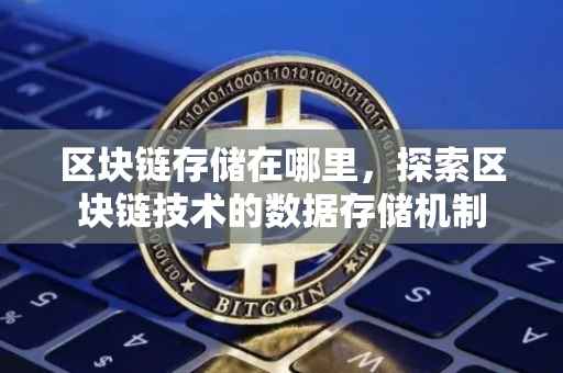 区块链存储在哪里，探索区块链技术的数据存储机制