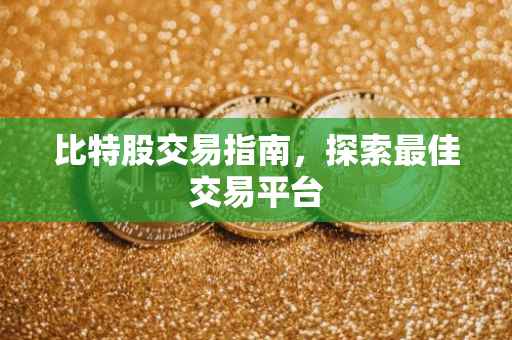 比特股交易指南，探索最佳交易平台