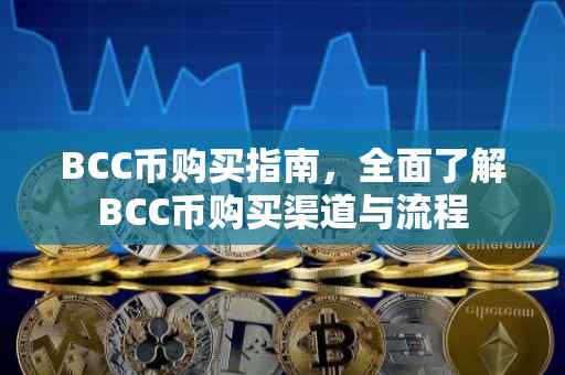 BCC币购买指南，全面了解BCC币购买渠道与流程