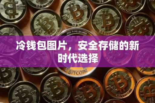 冷钱包图片，安全存储的新时代选择