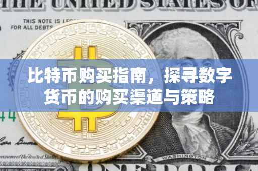 比特币购买指南，探寻数字货币的购买渠道与策略