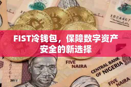 FIST冷钱包，保障数字资产安全的新选择