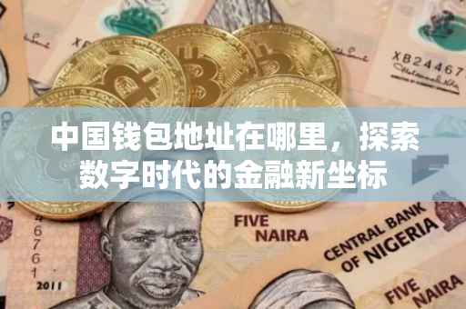 中国钱包地址在哪里，探索数字时代的金融新坐标