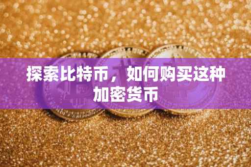 探索比特币，如何购买这种加密货币