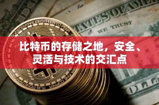 比特币的存储之地，安全、灵活与技术的交汇点