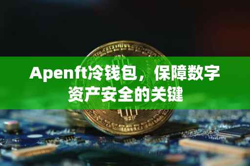 Apenft冷钱包，保障数字资产安全的关键