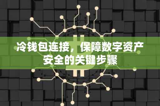 冷钱包连接，保障数字资产安全的关键步骤
