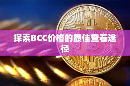 探索BCC价格的最佳查看途径