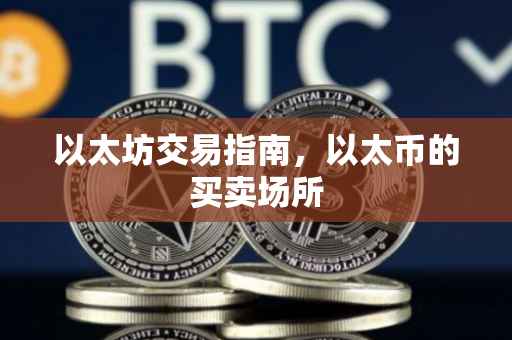 以太坊交易指南，以太币的买卖场所