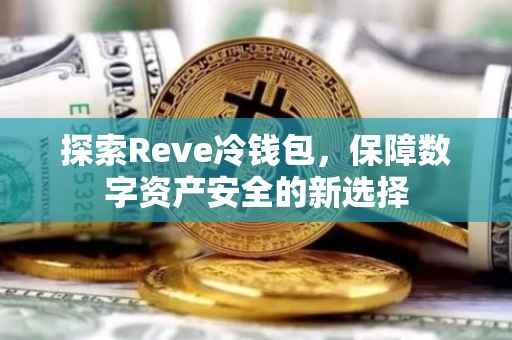 探索Reve冷钱包，保障数字资产安全的新选择