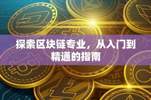 探索区块链专业，从入门到精通的指南