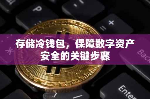 存储冷钱包，保障数字资产安全的关键步骤