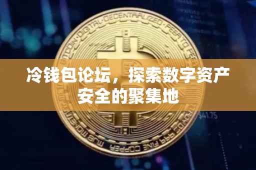 冷钱包论坛，探索数字资产安全的聚集地