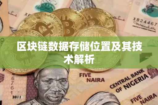 区块链数据存储位置及其技术解析
