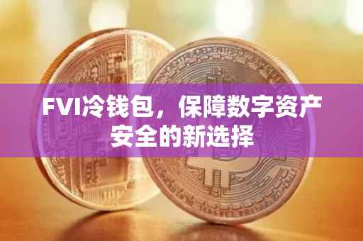 FVI冷钱包，保障数字资产安全的新选择