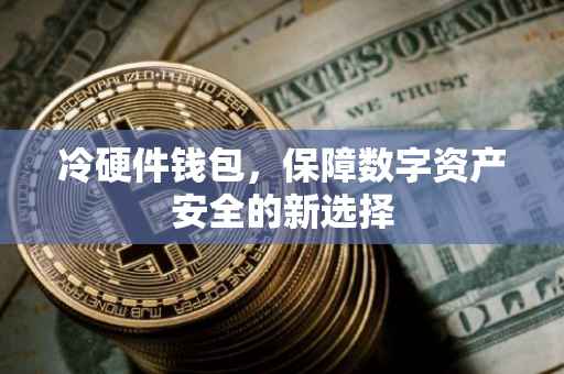 冷硬件钱包，保障数字资产安全的新选择
