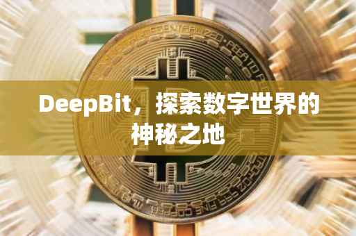 DeepBit，探索数字世界的神秘之地