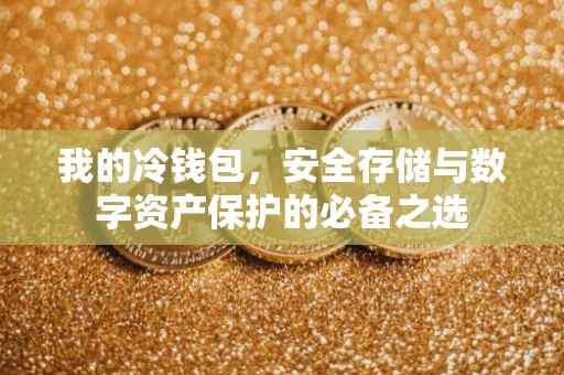 我的冷钱包，安全存储与数字资产保护的必备之选