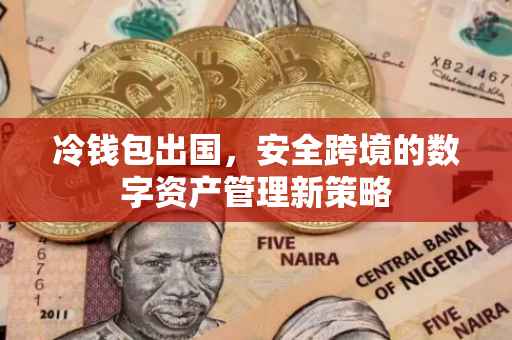 冷钱包出国，安全跨境的数字资产管理新策略