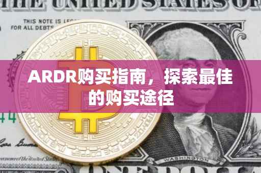 ARDR购买指南，探索最佳的购买途径