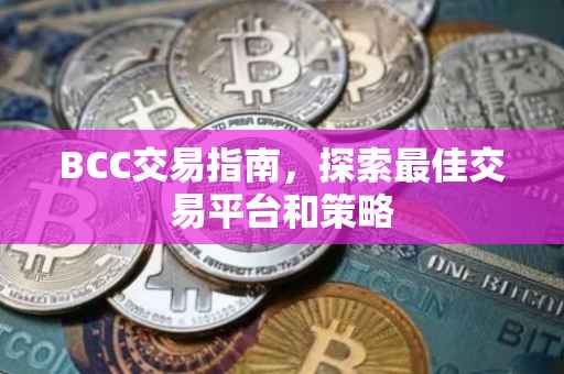 BCC交易指南，探索最佳交易平台和策略