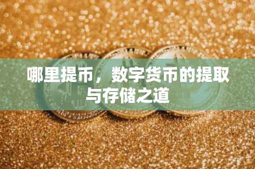 哪里提币，数字货币的提取与存储之道