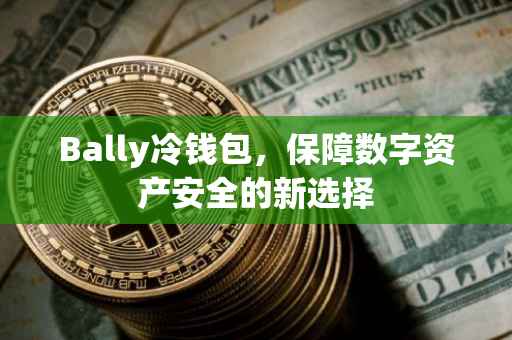 Bally冷钱包，保障数字资产安全的新选择