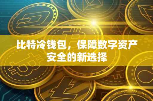 比特冷钱包，保障数字资产安全的新选择