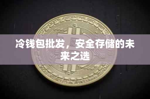 冷钱包批发，安全存储的未来之选