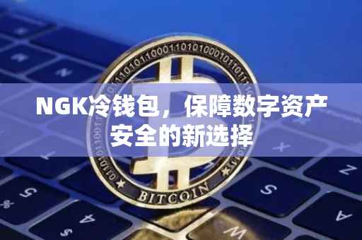 NGK冷钱包，保障数字资产安全的新选择
