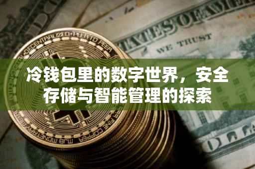 冷钱包里的数字世界，安全存储与智能管理的探索