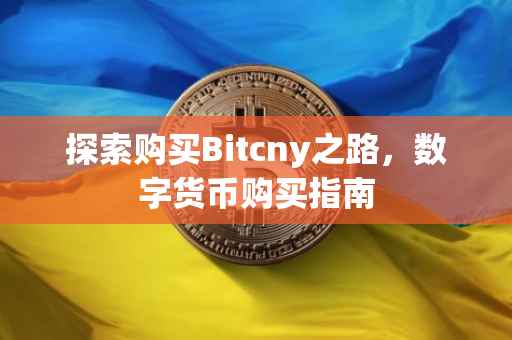 探索购买Bitcny之路，数字货币购买指南