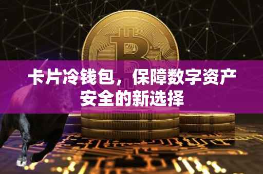 卡片冷钱包，保障数字资产安全的新选择